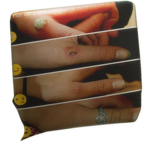 cliquez pour agrandir