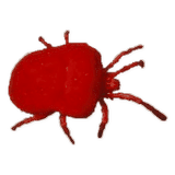 en savoir plus... aoûtat démangeaisons chiens chats fabrice corazza magnétiseur quimperlé tréméven locunolé le faouet querrien lorient concarneau quimper brest